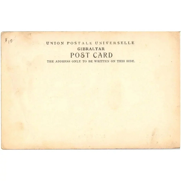 Gibraltar Public Gardens Postcard - Picture 2 of 2